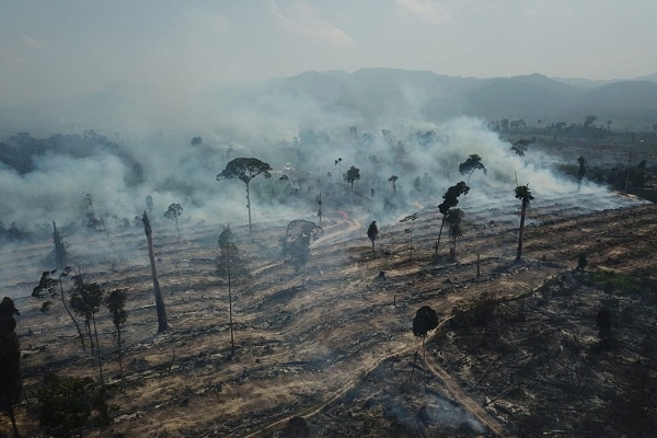 Tim Padamkan Kebakaran Hutan di Kabupaten Tebo, Jambi