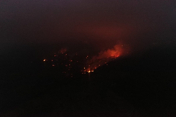 Kebakaran Hutan Terjadi di Taman Nasional Gunung Merbabu, Kabupaten Semarang