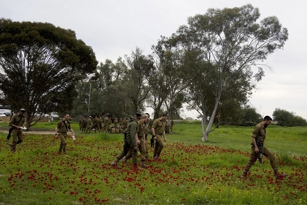 Ditengah Perang di Gaza, Bunga Anemon Liar Mekar di Israel Selatan 
