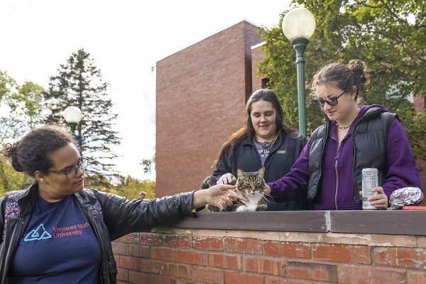 Max, Seekor Kucing, Dapat Gelar Doktor Bidang Sampah dari Vermont State University