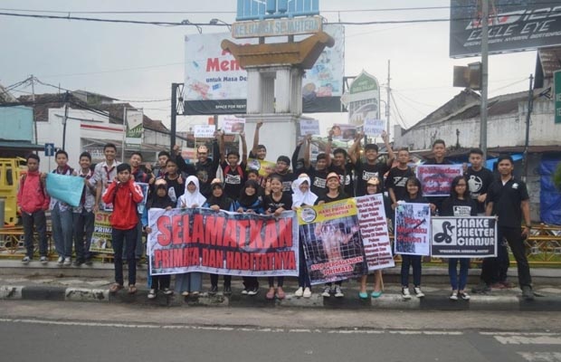 Peringatan Hari Primata Nasional di Cianjur