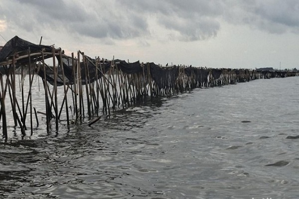 Presiden Perintahkan Penyelidikan Tuntas Pagar Laut di Tangerang