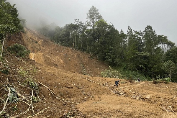 Tanah Longsor di Pekalongan, 19 Korban Tewas, Tujuh Masih Dicari