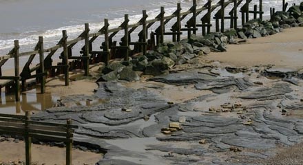 Jejak Kaki Berusia 800,000 Tahun Ditemukan di Pantai Inggris