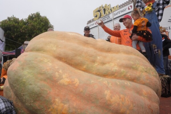 Kontes Labu Dunia di California, Pemenangnya Seberat 1.121 Kilogram 