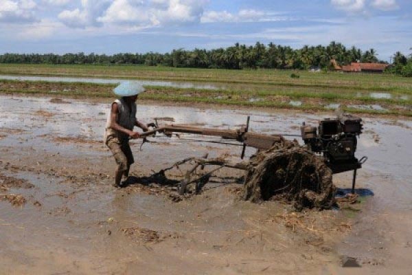 Saatnya Musim Tanam Kedua