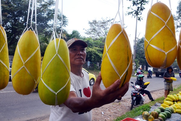 Ramadan Timunsuri Marak Dijual