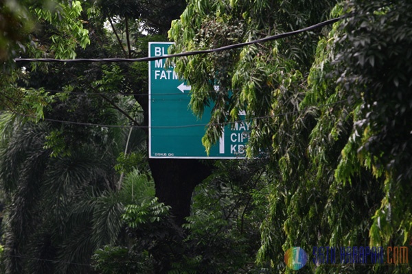 Marka Petunjuk Jalan Terhalang Pohon