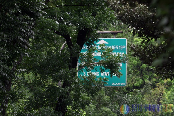 Marka Petunjuk Jalan Terhalang Pohon