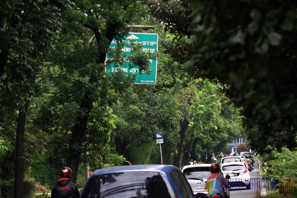 Marka Petunjuk Jalan Terhalang Pohon