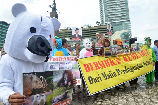 Pandawa Lima  Tuntut Pengembalian Satwa Ke KBS