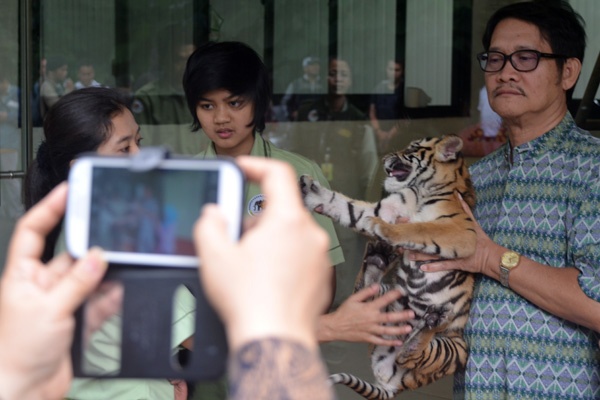 Libur Tahun Baru Pengunjung Serbu TSI