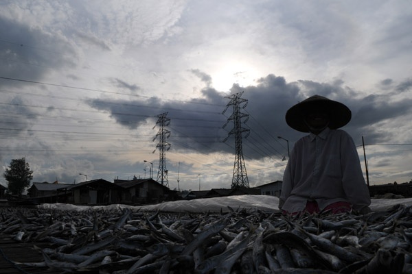 Akibat Cuaca Buruk Tangkapan Ikan Menurun 50 Persen