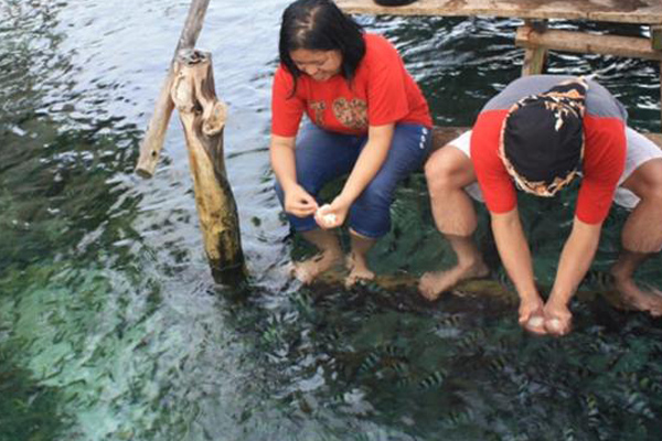 Pesona Alam Kepulauan di Raja Ampat