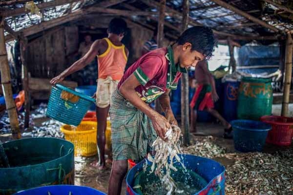 Rekor Dunia: 60 Juta Orang Jadi Pengungsi