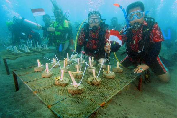 Masyarakat di Berbagai Daerah Meriahkan HUT RI