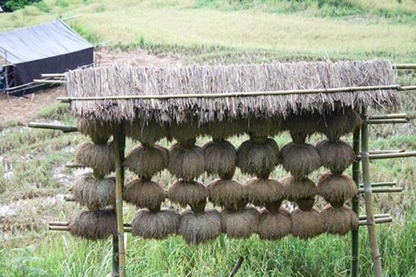 Perjalanan Pelayanan Gereja Toraja ke Seko