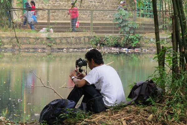 Mengabadikan Burung-burung di Jakarta yang Masih Tersisa