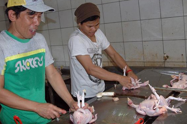 Harga Pakan Ayam Naik, Harga Ayam Turut Naik