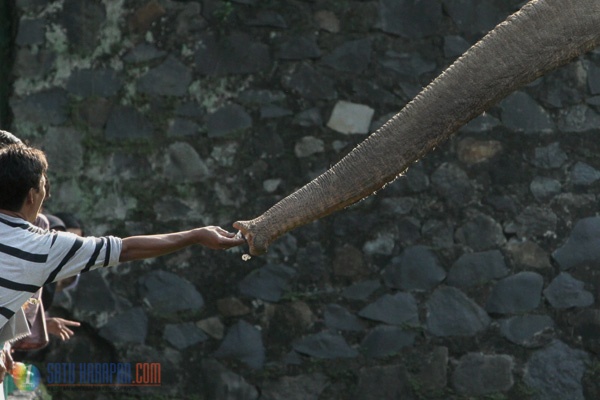 Puluhan Ribu Warga Berlibur ke Taman Margasatwa Ragunan