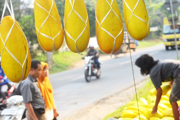 Ramadan Timunsuri Marak Dijual