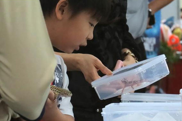 Berbagai Reptil Budidaya Dipamerkan di Jakarta