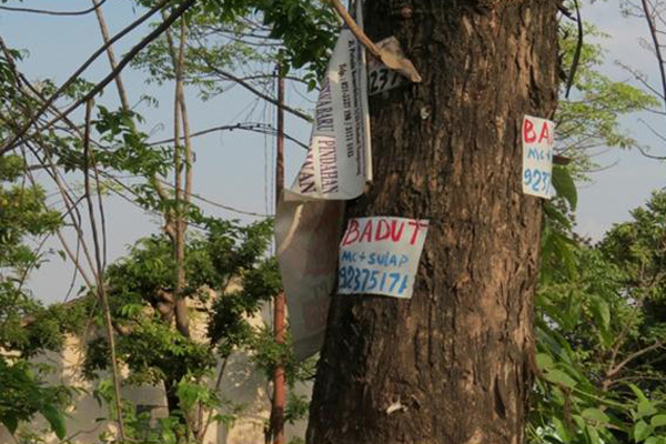 Pohon Jadi Sasaran Berbagai Poster Iklan