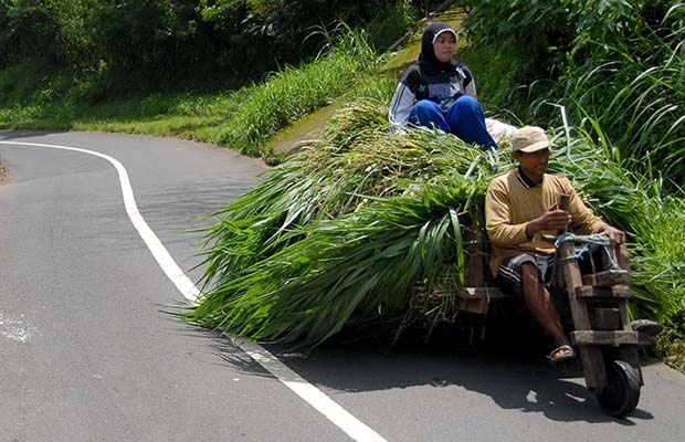 Aktivitas Warga Suku Tengger 