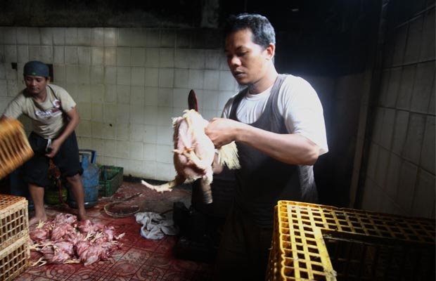 Tempat Pemotongan Ayam Tampak Sibuk Jelang Tahun Baru